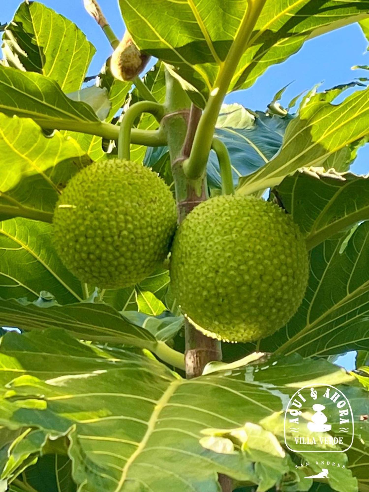 Aqui Ahora At Villa Verde San Andrés Exteriér fotografie